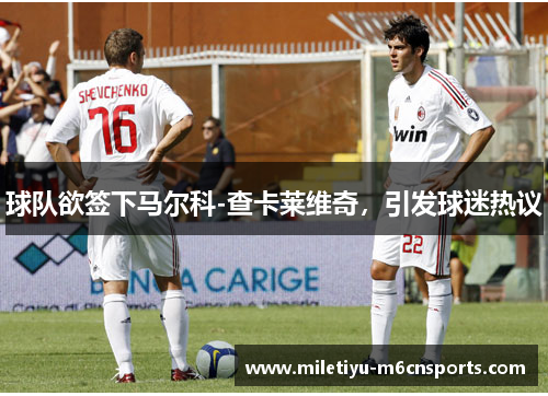 球队欲签下马尔科-查卡莱维奇，引发球迷热议